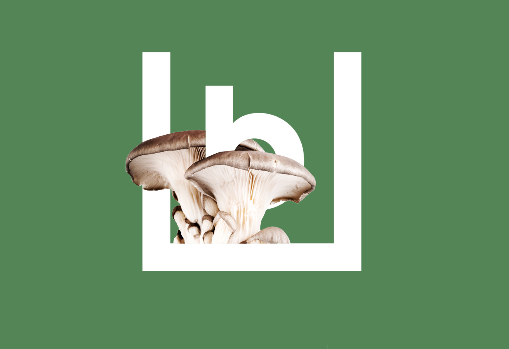 Balderdash – Cocktail Bar Logo Illustration. Visual Identity by HEAVY™ – www.heavy.tm